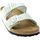 Chaussures Femme Sandales et Nu-pieds Birkenstock 143043 Vert