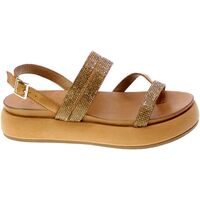 Chaussures Femme Sandales et Nu-pieds Inuovo 142989 Marron