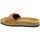 Chaussures Femme Sandales et Nu-pieds Biostar 344082 Marron
