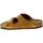Chaussures Homme Sandales et Nu-pieds Birkenstock 141204 Marron