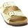Chaussures Femme Sandales et Nu-pieds Scholl 246969 Vert