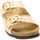 Chaussures Femme Sandales et Nu-pieds Scholl 246968 Marron