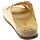 Chaussures Femme Sandales et Nu-pieds Scholl 246968 Marron
