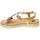 Chaussures Femme Sandales et Nu-pieds Gold&gold 142366 Beige