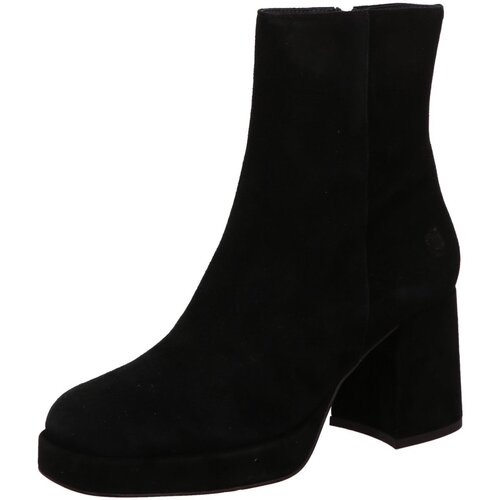 Chaussures Femme Bottes Rideaux / stores  Noir