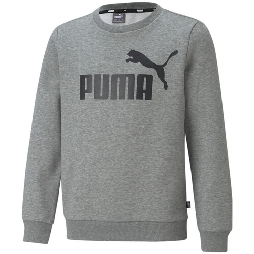 Vêtements Garçon Sweats Puma 586963-03 Gris