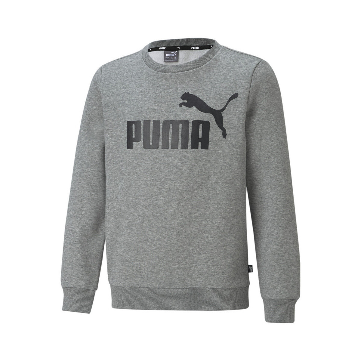 Vêtements Garçon Sweats Puma 586963-03 Gris
