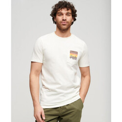 Vêtements Homme T-shirts & Polos Superdry Vintage vl cali Blanc