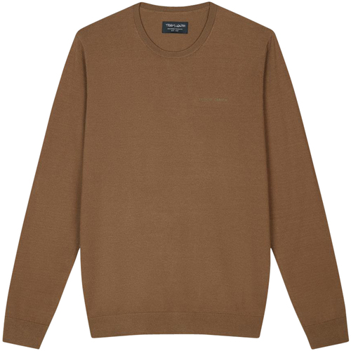 Vêtements Homme Pulls Teddy Smith Pull col rond Marron
