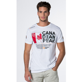 Vêtements Homme Jack & Jones Canadian Peak JILTORD t-shirt pour homme Blanc