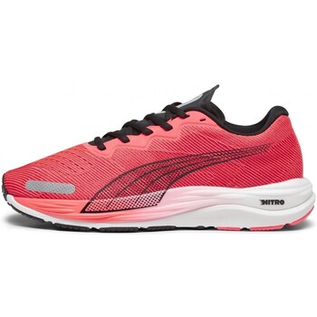 Chaussures Homme Running / trail Puma core Velocity Nitro 2 Rouge