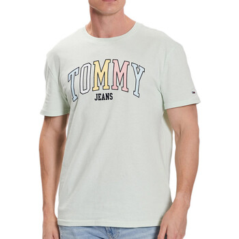 Vêtements Homme T-shirts manches courtes Tommy Small Hilfiger DM0DM16401 Vert