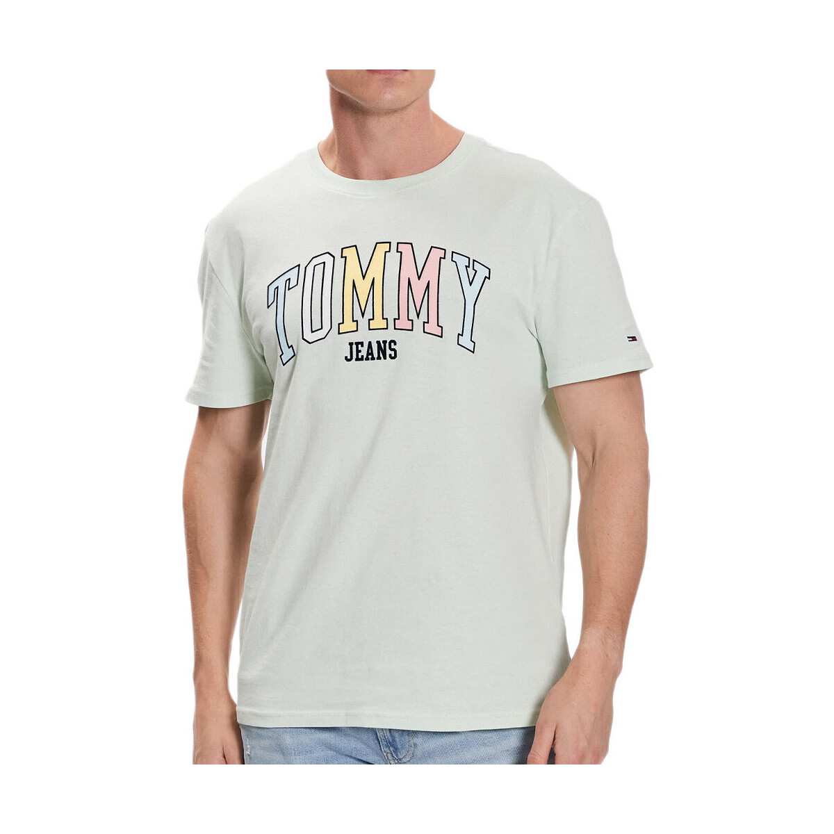 Vêtements Homme T-shirts & Polos Tommy Hilfiger DM0DM16401 Vert