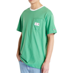 Vêtements Homme T-shirts & Polos Tommy Hilfiger DM0DM16317 Vert