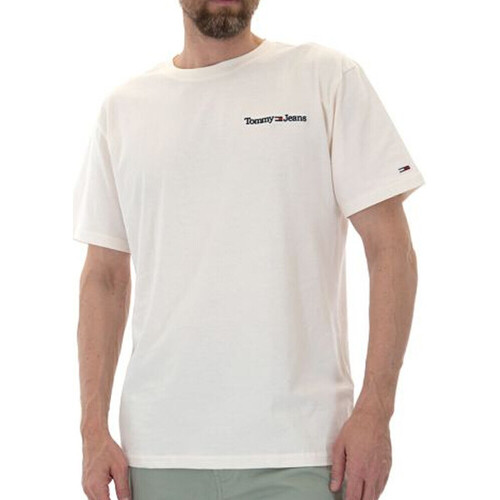 Vêtements Homme T-shirts & Polos Tommy Hilfiger DM0DM15790 Blanc