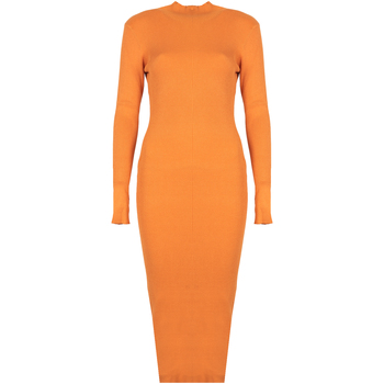 Vêtements Femme Robes courtes Silvian Heach PGA22208VE Orange