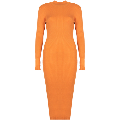 Vêtements Femme Robes courtes Silvian Heach PGA22208VE Orange