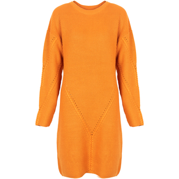 Vêtements Femme Robes courtes Silvian Heach PGA22285VE Orange