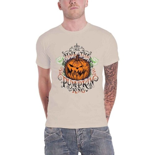 Vêtements T-shirts manches longues Polo Ralph Laure All Hail the Pumpkin King Beige