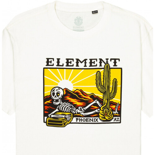 Vêtements Homme T-shirts & Polos Element Dusk ss Blanc