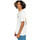 Vêtements Homme T-shirts & Polos Element Timber novel ss Blanc