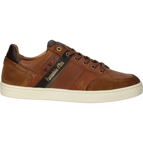 Chaussures Homme Baskets basses Pantofola d'Oro ADIDAS Sneaker Marron