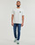 Vêtements Homme T-shirts manches courtes Element TIMBER SIGHT SS Blanc