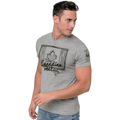 Vêtements Homme Jack & Jones Canadian Peak JANADA t-shirt pour homme Gris