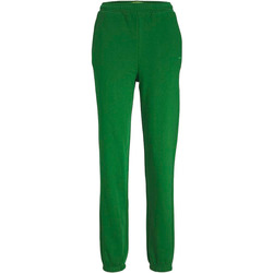 Vêtements Femme Pantalons de survêtement J&j JXABBIE RLX HW EVERY PANTS SWT NOOS Vert