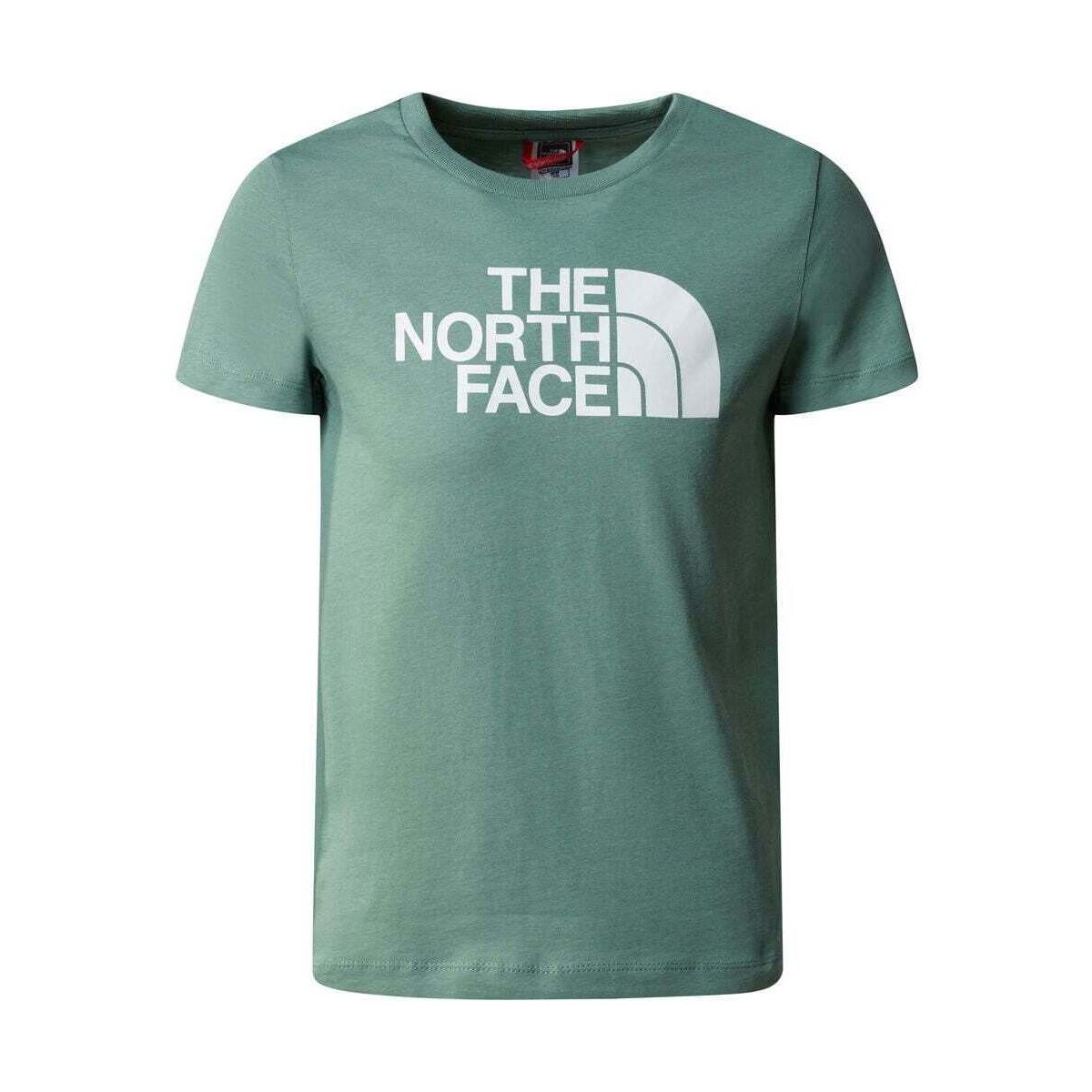 Vêtements Enfant Chemises manches courtes The North Face B S/S EASY TEE Vert