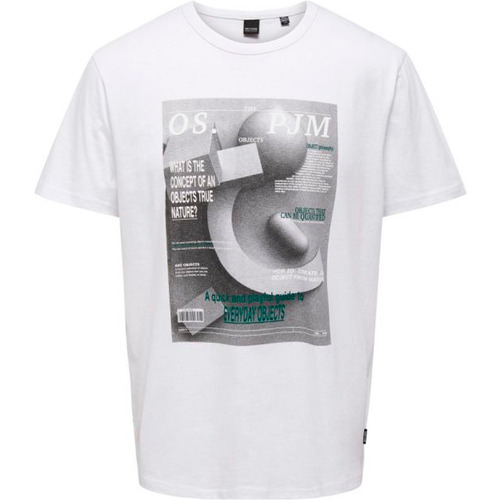 Vêtements Homme Sweats & Polaires Only&sons ONSTODD LIFE REG PHOTOPRINT SS TEE Blanc