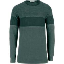 Vêtements Homme Sweats Blend Of America Pullover blocks Vert