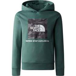 Vêtements Enfant Chemises manches courtes The North Face TEENS BOX P/O HOODIE Vert
