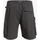 Vêtements Homme Shorts / Bermudas Quiksilver Run Ashore Noir