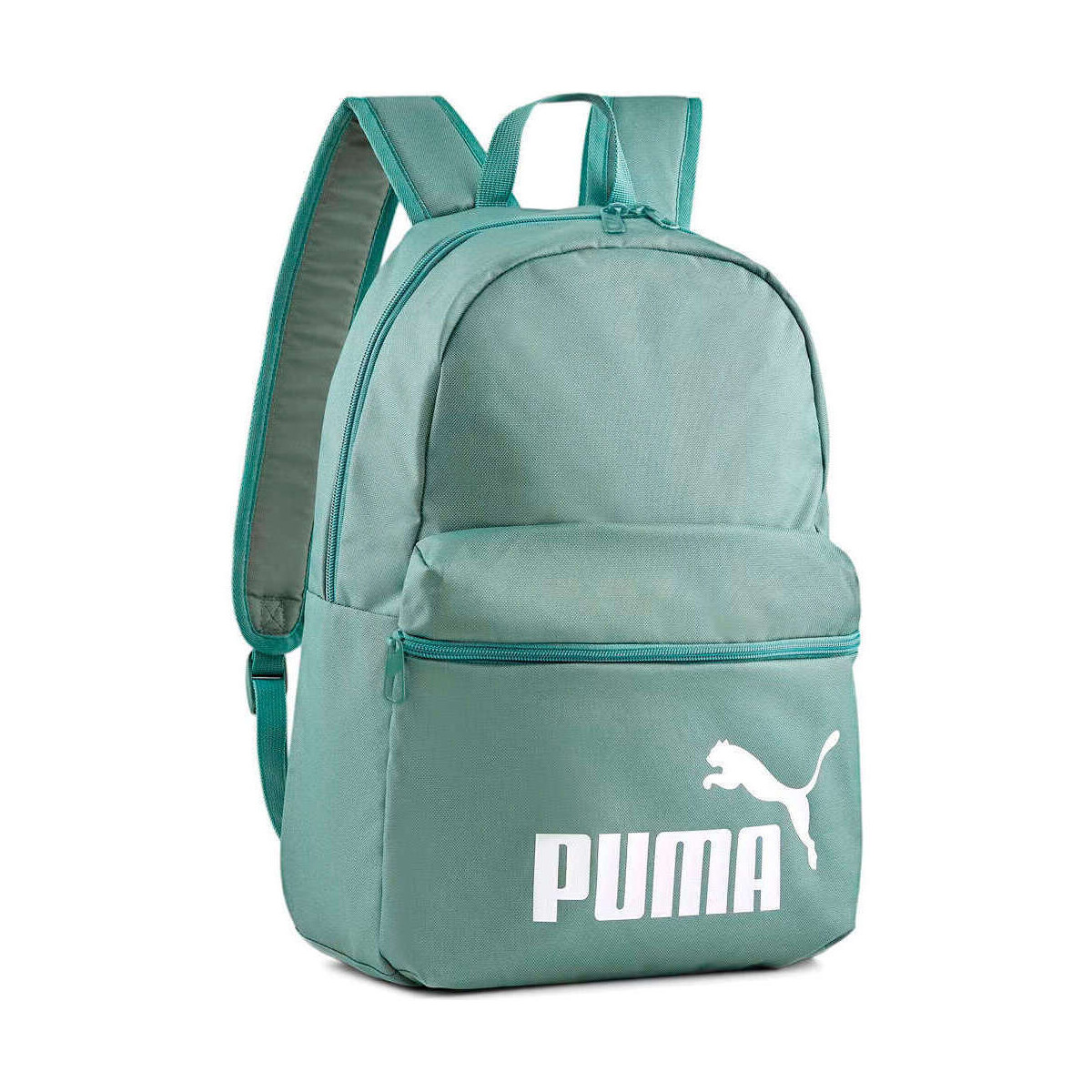 Sacs Sacs de sport Puma X_Phase Backpack Vert