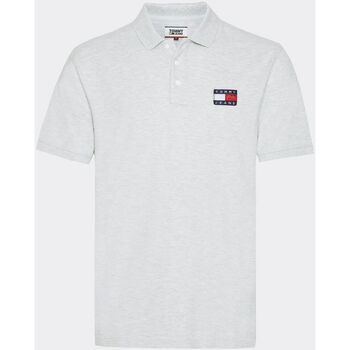 Vêtements Homme T-shirts & Polos Tommy Hilfiger DM0DM07456 BADGE POLO-PPP PALE GREY HTR Gris