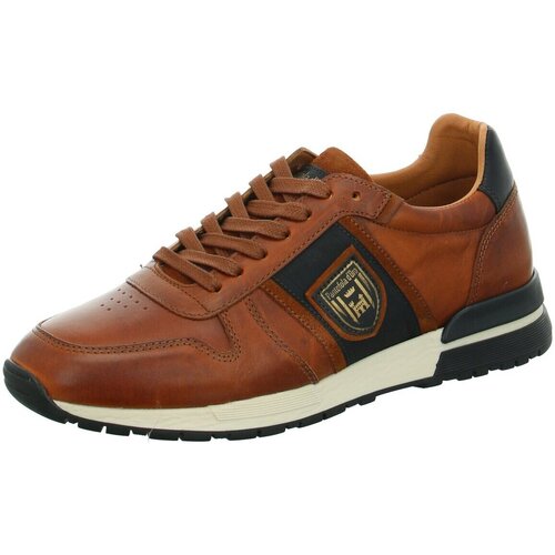 Chaussures Homme Baskets basses Pantofola D` Oro  Marron