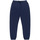 Vêtements Homme Pantalons Element Cornell 3.0 Bleu