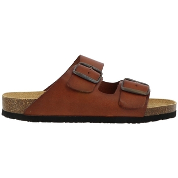 Natural World Marque Mules  7015
