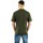 Vêtements Homme T-shirts manches courtes Dickies 0a4xdb Vert
