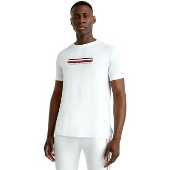 Vêtements Homme T-shirts manches courtes Tommy Hilfiger CAMISETA HOMBRE   SEACELL UM0UM02348 Blanc