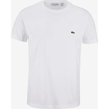 Vêtements Homme T-shirts manches courtes Lacoste TSHIRT Blanc