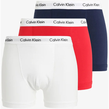 Sous-vêtements Homme Boxers Calvin Klein Jeans  Rouge