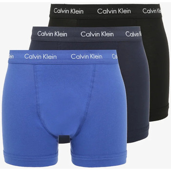Sous-vêtements Homme Boxers Calvin Klein Jeans  Bleu