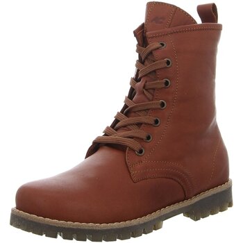 Chaussures Femme Boots Andrea Conti  Marron