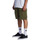 Vêtements Homme Shorts / Bermudas DC Shoes Tundra Marron