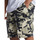 Vêtements Homme Shorts / Bermudas DC Shoes Tundra Marron