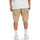 Vêtements Homme Shorts / Bermudas DC Shoes Warehouse Marron