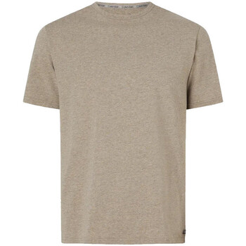 Vêtements Homme T-shirts manches courtes Calvin Klein Jeans 000NM2423E Marron