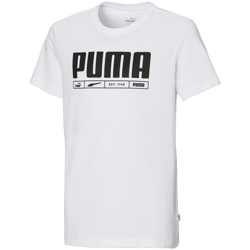 Vêtements Garçon T-shirts manches courtes Puma 366487-12 847373-02 Blanc